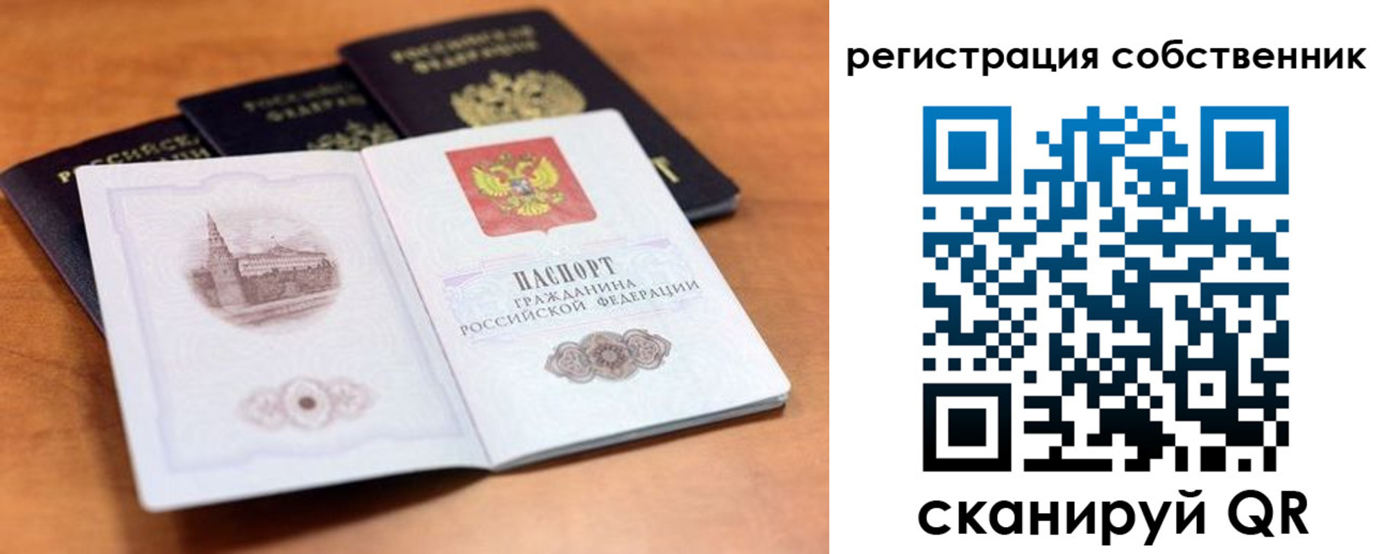 прописка поиск в Самарской области